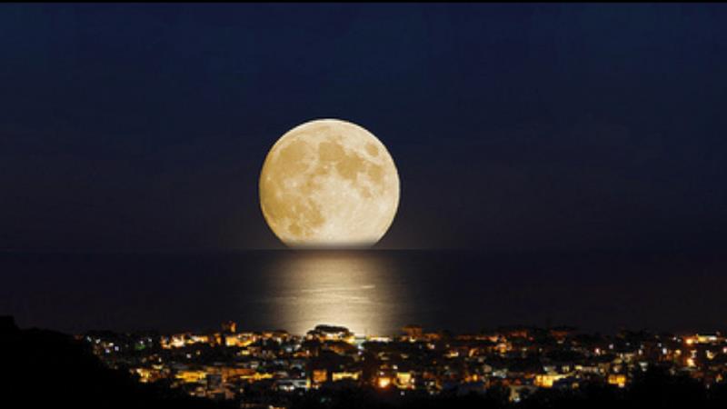 Javea Vollmond